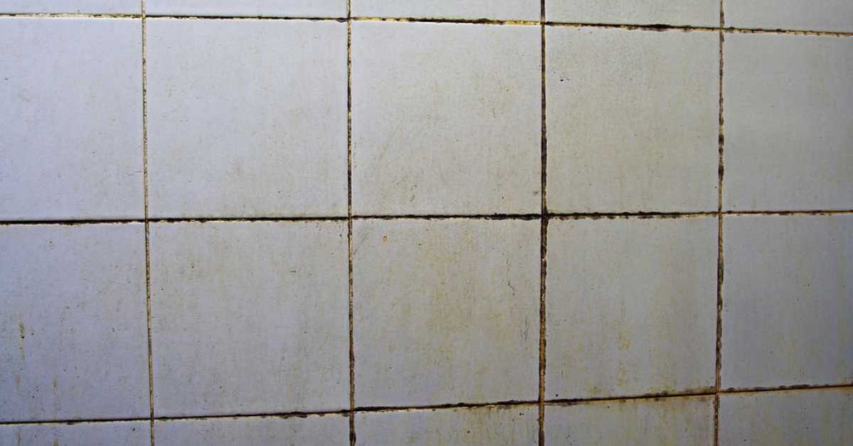 expert-guide-removing-pet-urine-stains-from-tile-grout-like-a-pro